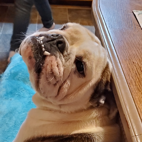 Meet your Posher, Gg - Picture 3 of 4